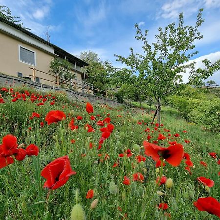 Villa Casa Le Vignole - Aosta Exterior foto