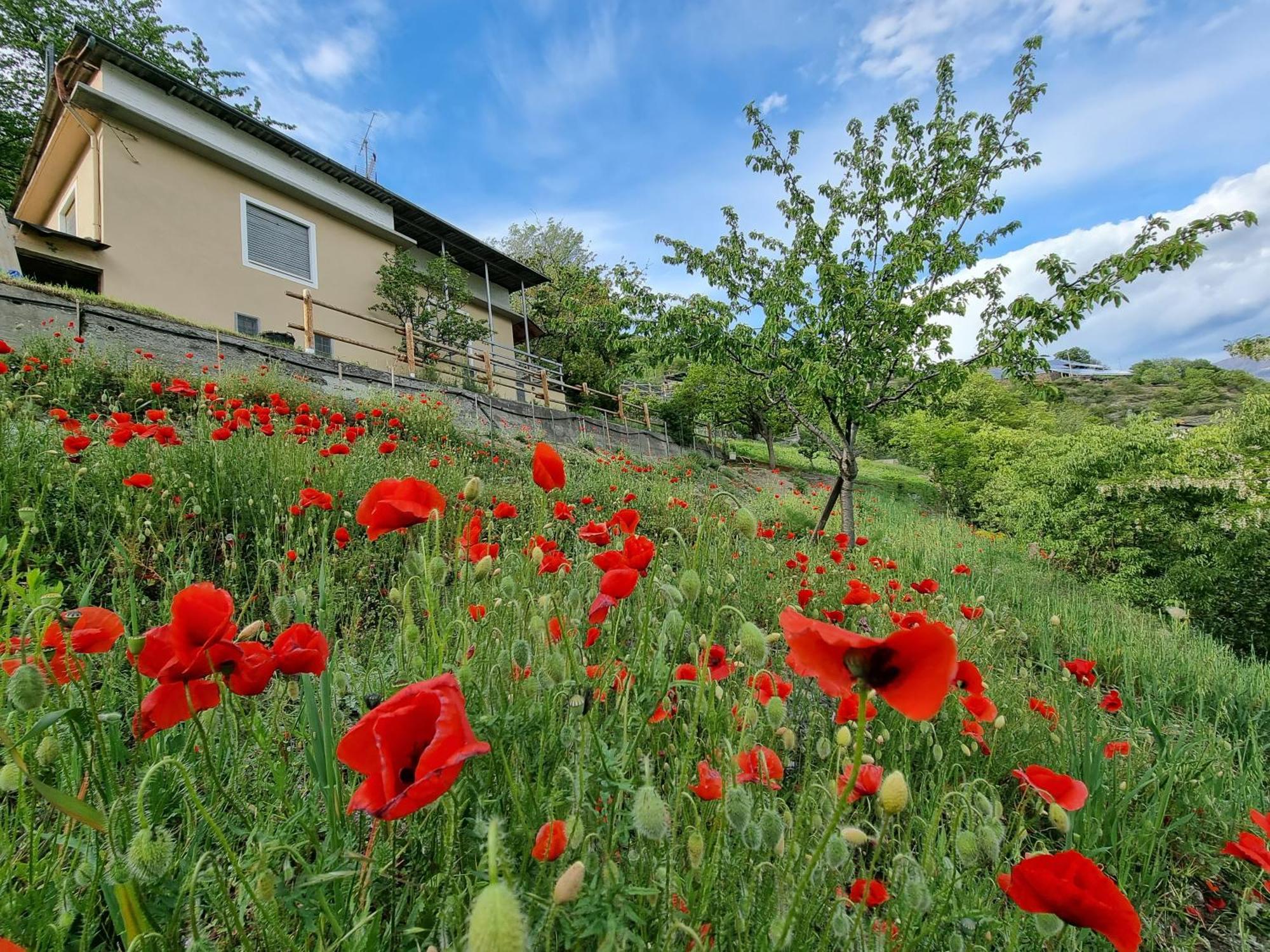 Villa Casa Le Vignole - Aosta Exterior foto